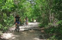 Biking Into A Hidden Jungle Cenote