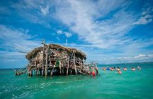 YS Falls and Pelican Bar Combo Full-Day Private Tour South Coast