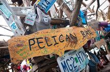 YS Falls and Pelican Bar Combo Full-Day Private Tour South Coast