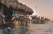 YS Falls and Pelican Bar Combo Full-Day Private Tour South Coast
