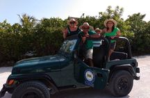4-Hour Jeep and ATV Tour with Snorkel in Cozumel with Lunch