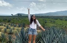 Private Tour one day Adventure in Tequila Pueblo Mágico