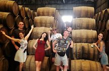 Private Tour one day Adventure in Tequila Pueblo Mágico