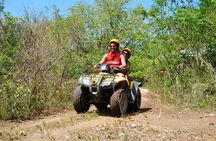 4-Hour Jeep and ATV Tour with Snorkel in Cozumel with Lunch