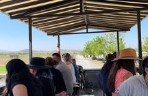 Wine and Cheese tasting at Peña de Bernal