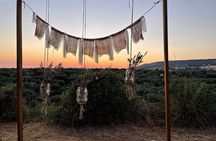 Guided Tour of the Centenary Olive Trees with Tasting in Escolca