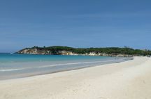Amazing Half Day Tour Buggy Double 4 x 4 Cenote Macao Beach 