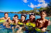 Marine Biologist Guided Snorkel Tour from Shore at Turtle Town