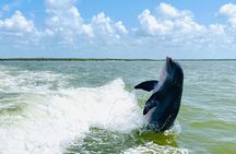 Private Shelling and Dolphin Excursion 