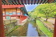 Suncheon one day tour from Seoul, Busan or Suncheon
