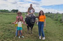 Hoi An Countryside Tour by Car/Motorbike or cycling