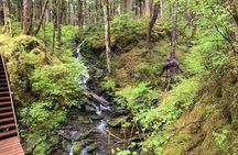 Alaska Bigfoot Adventures