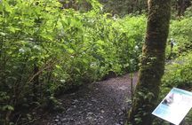 Alaska Bigfoot Adventures