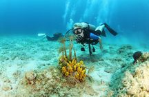 Chania Boat Tour: Snorkeling & Scuba Dive for Beginners