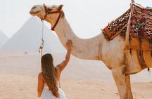 Full Day Tour Giza Pyramids, Sphinx, Saqqara &Dahshur Pyramids