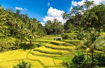Best of Ubud 1-Day Private Tour