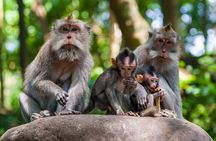 Best of Ubud 1-Day Private Tour
