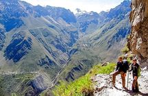 Hike - Trek Colca Canyon 2D/1N with Final in Puno