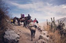 Hike - Trek Colca Canyon 2D/1N with Final in Puno