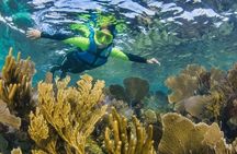 Speedboat Across the Mangroves and Parasailing in Cancun