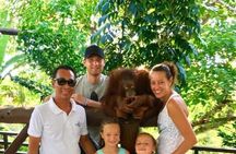 Things to do - Breakfast with Orang Utan
