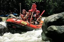 Ubud Tour And Bali White Water Rafting