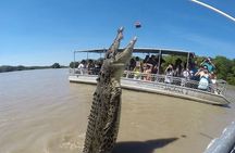 The Croc Bus to the Famous Jumping Crocodile Cruise