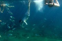 Pula Kayak Tour-Cliff jumping,snorkeling& free GoPro pictures