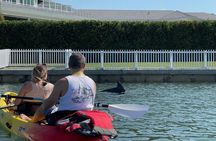 Kayak Eco Tour in Don Pedro Island