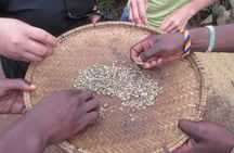 Materuni Thundering Waterfalls,Coffee Experience with Moshi Town Tour 