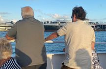 Water Taxi between Bayside Marketplace & South Beach