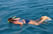 Marathon Key: 3-hour Snorkeling adventure on a Pontoon at Sombrero Reef 