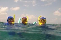 Marathon Key: 3-hour Snorkeling adventure on a Pontoon at Sombrero Reef 
