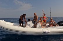 Hurghada Speedboat Dolphin Watching and Snorkeling