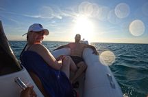 Hurghada Speedboat Dolphin Watching and Snorkeling