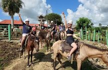 4 in 1 tours Full Day Safari, Zipline, Buggies and Horse Riding