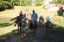 4 in 1 tours Full Day Safari, Zipline, Buggies and Horse Riding