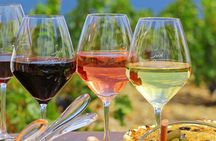 Provence Organic Wine Tasting Half Day Tour from Nice