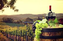 Provence Organic Wine Tasting Half Day Tour from Nice