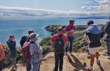 Dublin Coastal Hike, Pints & Puppies Adventure