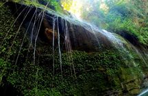 Full-Day Exclusive Private Tour in Nosy Be with Luxury Lunch