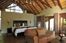 2 Day Pilanesberg ultimate Luxury Safari 