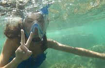 Kayak excursion to Cova dels Coloms from Platja Mascarat