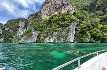 Phi Phi Islands and Maya Bay Tour by Speedboat from Krabi