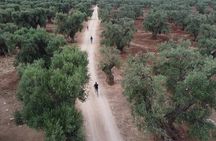 Monopoli's Countryside by Bike