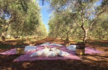 Monopoli's Countryside by Bike