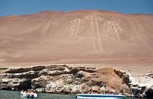 Nazca Lines & Ballestas Islands Private Tour Bus&Flight from Lima