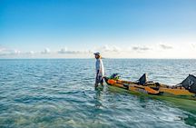 Half-Day Kaneohe Bay Sandbar Self-Guided Kayaking Experience