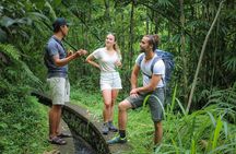 Bali Village Trek