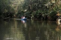 2-Hour Kayak Tour in Quepos